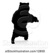 Vector Illustration of Silhouetted Bear, with a Reflection or Shadow, on a White Background by AtStockIllustration