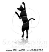 Vector Illustration of Silhouetted Cat, with a Shadow or Reflection, on a White Background by AtStockIllustration