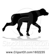 Vector Illustration of Silhouetted Labrador Dog, with a Reflection or Shadow, on a White Background by AtStockIllustration