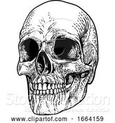 Vector Illustration of Skull Grim Reaper Vintage Woodcut Illustration by AtStockIllustration