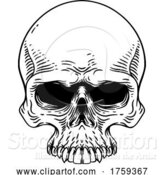 Vector Illustration of Skull Old Vintage Woodcut Etching Engraving Style by AtStockIllustration