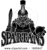 Vector Illustration of Spartan Trojan Gladiator Cricket Warrior Lady by AtStockIllustration