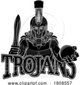 Vector Illustration of Spartan Trojan Gladiator Cricket Warrior Lady by AtStockIllustration