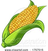 Vector Illustration of Sweet Corn Ear Maize Cob Illustration by AtStockIllustration