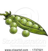 Vector Illustration of Sweet Peas Pod Vegetable Vintage Style Woodcut by AtStockIllustration