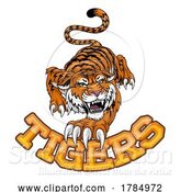 Vector Illustration of Tiger Angry Tigers Team Sports Mascot Roaring by AtStockIllustration