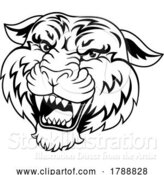 Vector Illustration of Tiger Angry Tigers Team Sports Mascot Roaring by AtStockIllustration