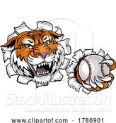 Vector Illustration of Tiger Baseball Ball Animal Sports Team Mascot by AtStockIllustration
