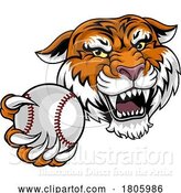 Vector Illustration of Tiger Baseball Ball Animal Sports Team Mascot by AtStockIllustration