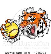 Vector Illustration of Tiger Softball Animal Sports Team Mascot by AtStockIllustration