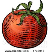 Vector Illustration of Tomato Vegetable Vintage Woodcut Illustration by AtStockIllustration