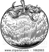 Vector Illustration of Tomato Vintage Woodcut Illustration by AtStockIllustration