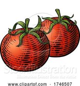 Vector Illustration of Tomatoes Vegetable Vintage Woodcut Illustration by AtStockIllustration