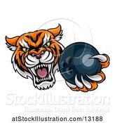 Vector Illustration of Vicious Tiger Sports Mascot Grabbing a Bowling Ball by AtStockIllustration