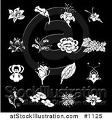 Vector Illustration of White Rose, Grapes, Dogwood and Iris Flower Icons over a Black Background by AtStockIllustration