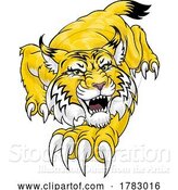 Vector Illustration of Wildcat Angry Wildcats Team Sports Mascot Roaring by AtStockIllustration