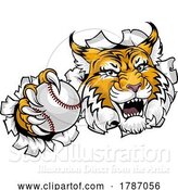 Vector Illustration of Wildcat Bobcat Baseball Ball Animal Team Mascot by AtStockIllustration