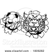 Vector Illustration of Wildcat Bobcat Cat Cougar Soccer Football Mascot by AtStockIllustration