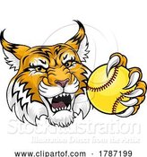 Vector Illustration of Wildcat Bobcat Softball Animal Sports Team Mascot by AtStockIllustration