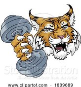 Vector Illustration of Wildcat Cougar Lynx Lion Weight Lifting Gym Mascot by AtStockIllustration