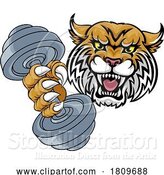 Vector Illustration of Wildcat Cougar Lynx Lion Weight Lifting Gym Mascot by AtStockIllustration