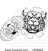 Vector Illustration of Wildcat Cougar Lynx Lion Weight Lifting Gym Mascot by AtStockIllustration