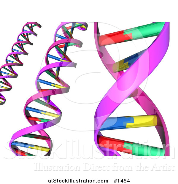 Illustration of Strands of Colorful Dna Double Helixes over White