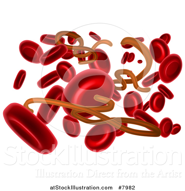 Vector Illustration of 3d Blood Cells and the Ebola Virus