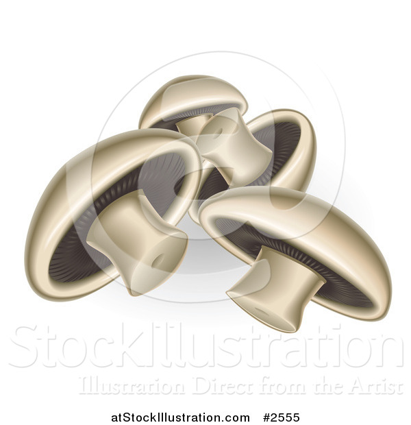 Vector Illustration of 3d Gourmet Mushrooms