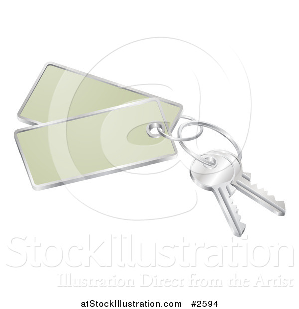Vector Illustration of 3d Keys with Tags