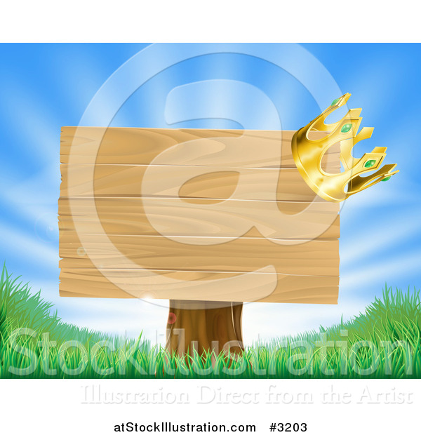 Vector Illustration of a 3d Crown on a Wooden Sign with Rays and Grass