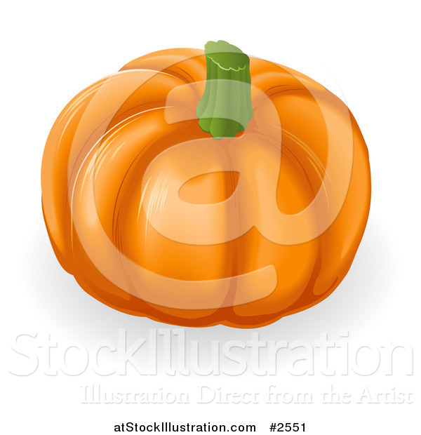 Vector Illustration of a 3d Deep Ridged Pumpkin