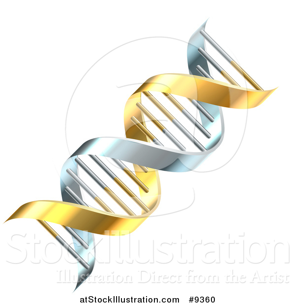 Vector Illustration of a 3d Gold and Silver Dna Double Helix