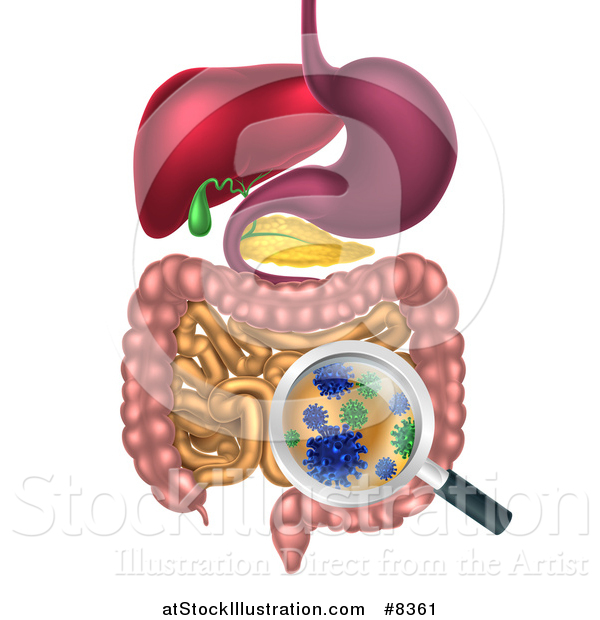 Vector Illustration of a 3d Magnifying Glass Zoomed in on Bacteria, Gut Flora, or Viruses in the Human Digestive Tract