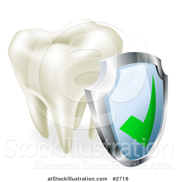 Vector Illustration of a 3d Molar Tooth Sparkling with a Protection Shield