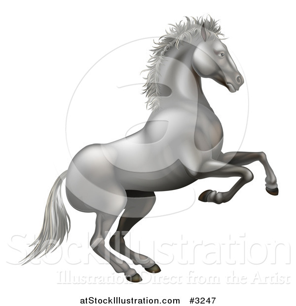 Vector Illustration of a 3d Silvery White Horse Rearing