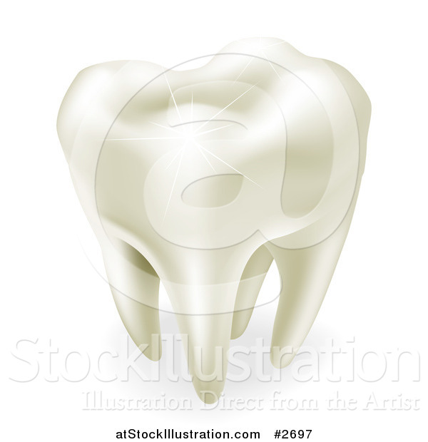 Vector Illustration of a 3d Sparkling White Wisdom or Molar Tooth