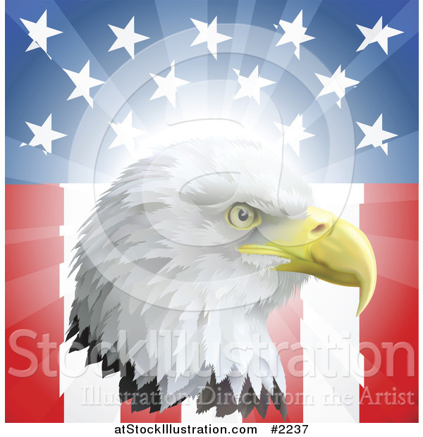 Vector Illustration of a Bald Eagle Head over an American Flag