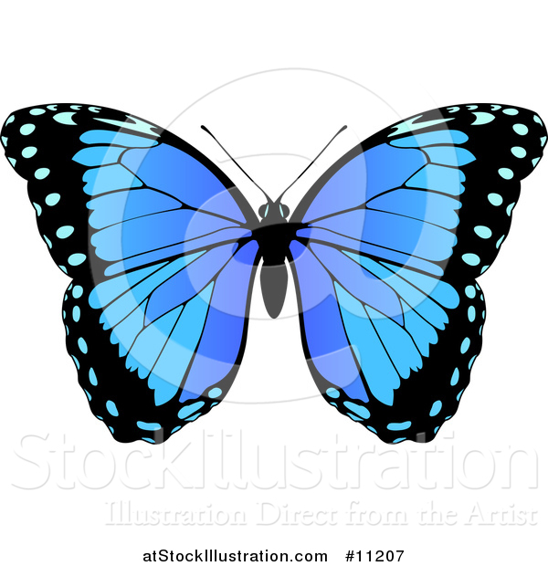 Vector Illustration of a Beautiful Blue Butterfly