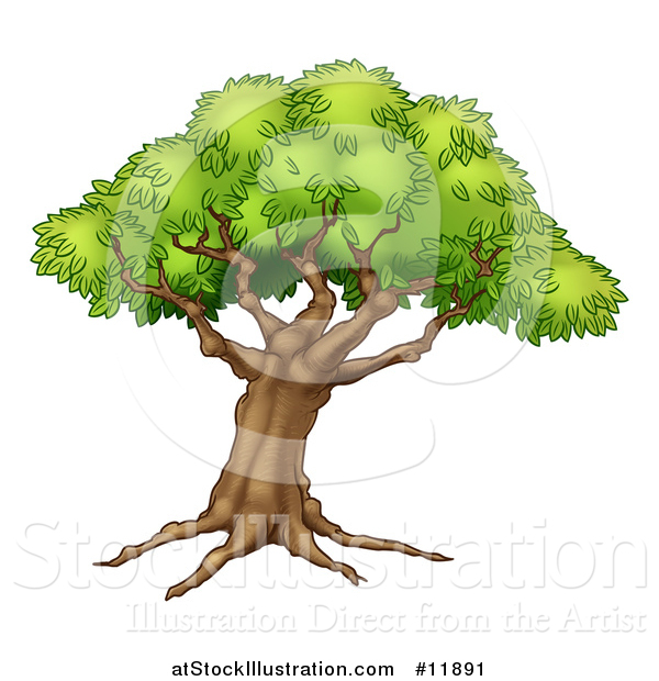 Vector Illustration of a Beautiful Fairy Tale Styled Tree with Roots