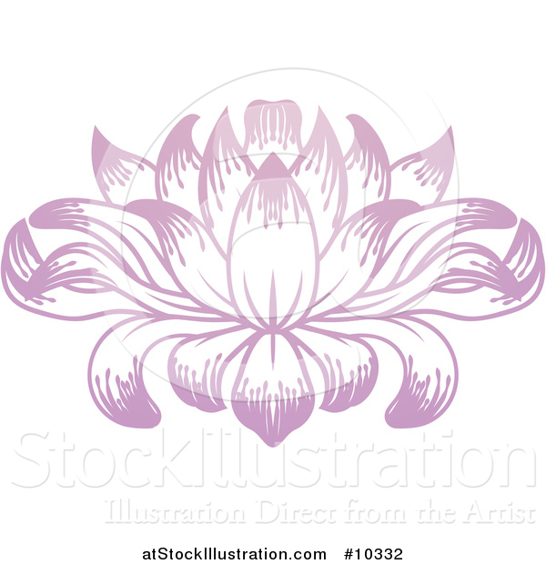 Vector Illustration of a Beautiful Pink Purple Water Lily Lotus Flower