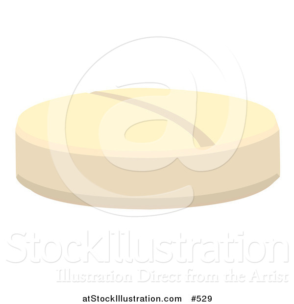 Vector Illustration of a Birth Control Contraceptive or Aspirin Pill