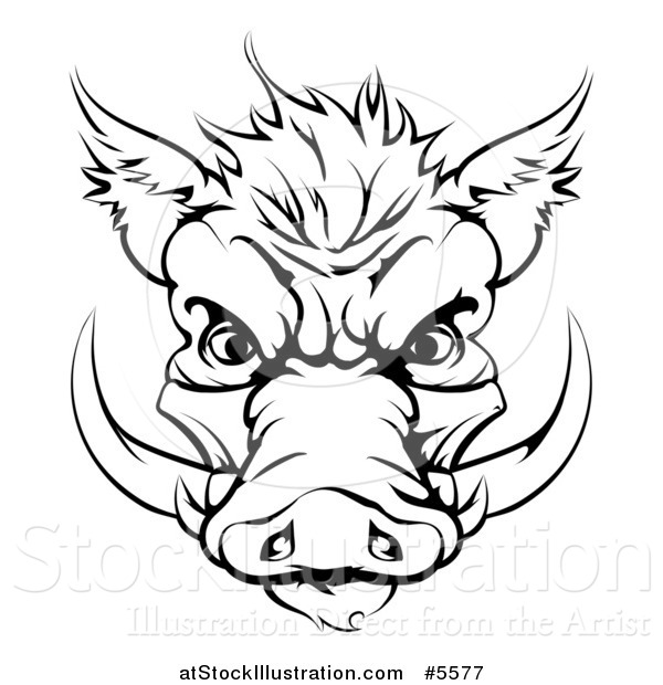 Vector Illustration of a Black and White Aggressive Boar Mascot Face