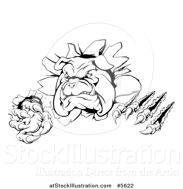 Vector Illustration of a Black and White Aggressive Bulldog Breaking Through a Wall