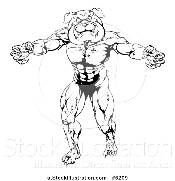 Vector Illustration of a Black and White Angry Muscular Bulldog Man Mascot Standing Upright