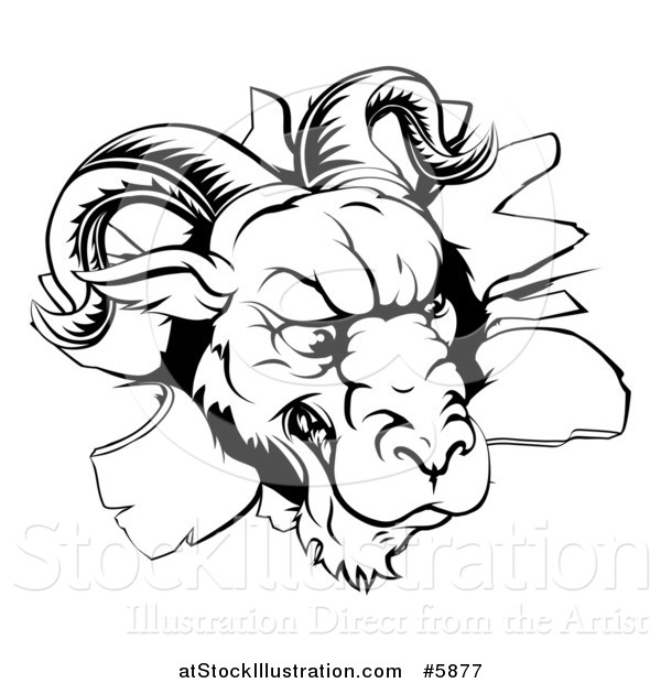 Vector Illustration of a Black and White Angry Ram Breaking Through a Wall