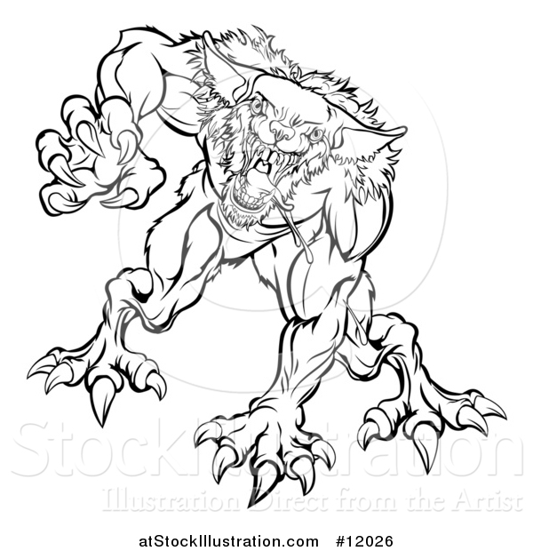 Vector Illustration of a Black and White Attacking Werewolf Beast