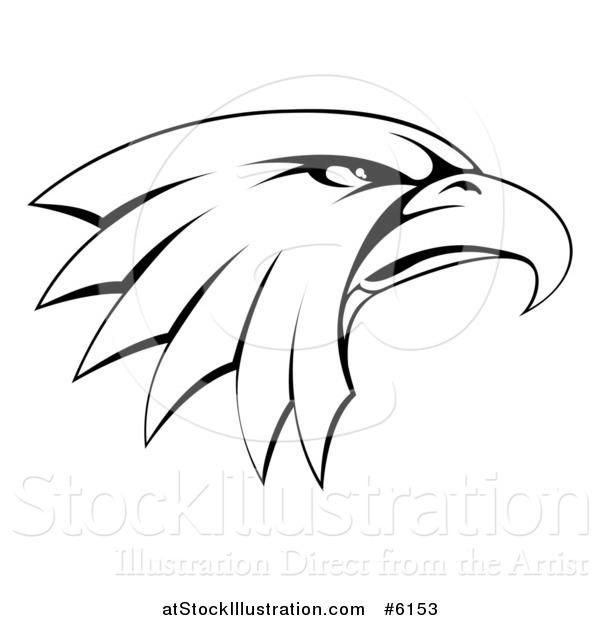 Vector Illustration of a Black and White Bald Eagle Head in Profile