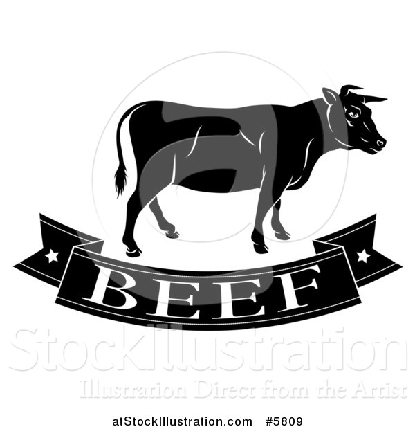 Vector Illustration of a Black and White Beef Banner and Cow