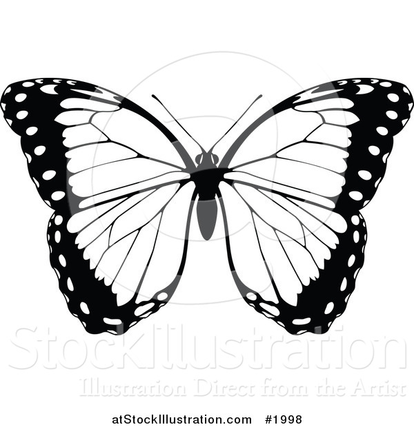 Vector Illustration of a Black and White Butterfly
